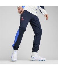 PUMA/メンズ サッカー キング プロ トレーニング ニットパンツ/506976644