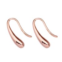 Noelmarket/ノエルマーケット Noelmarket ドロップピアス フープピアス 金属アレルギー対応 つけっぱなし 小さめ ニッケルフリー 18kコーティング シンプル 人/507044869