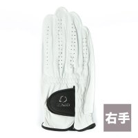 IGNIO/イグニオ IGNIO ゴルフグローブ ＩＧ－１Ｇ１０３６ＧＧ ホワイト【右手用】/507113265