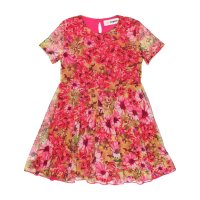 Desigual/デシグアル Desigual 花柄 チュールワンピース/507138881