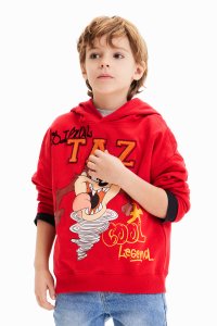 Desigual/デシグアル Desigual ルーニー・テューンズ フーディ/507139026
