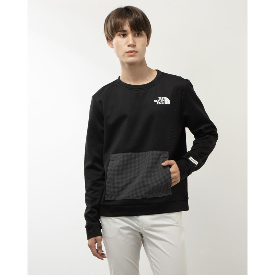 THE NORTH FACE トレーナー スウェット 国内未発売 USモデル