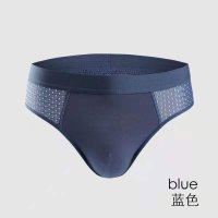 Vanilla/バニラ Vanilla メンズセクシービキニブリーフ（ストレッチメッシュ素材）【返品不可商品】/507158175