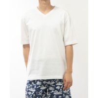 N.PARA/エヌ．パラ N.PARA ドレスTシャツ Vネック/507177734