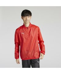 PUMA/メンズ サッカー チームファイナル ピステ 長袖 ハーフジップ トップス/506976651