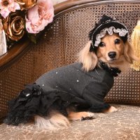 BIRDIE/バーディ BIRDIE Luxe birdie モンシェリチュチュ SS ブラック【返品不可商品】/507179455