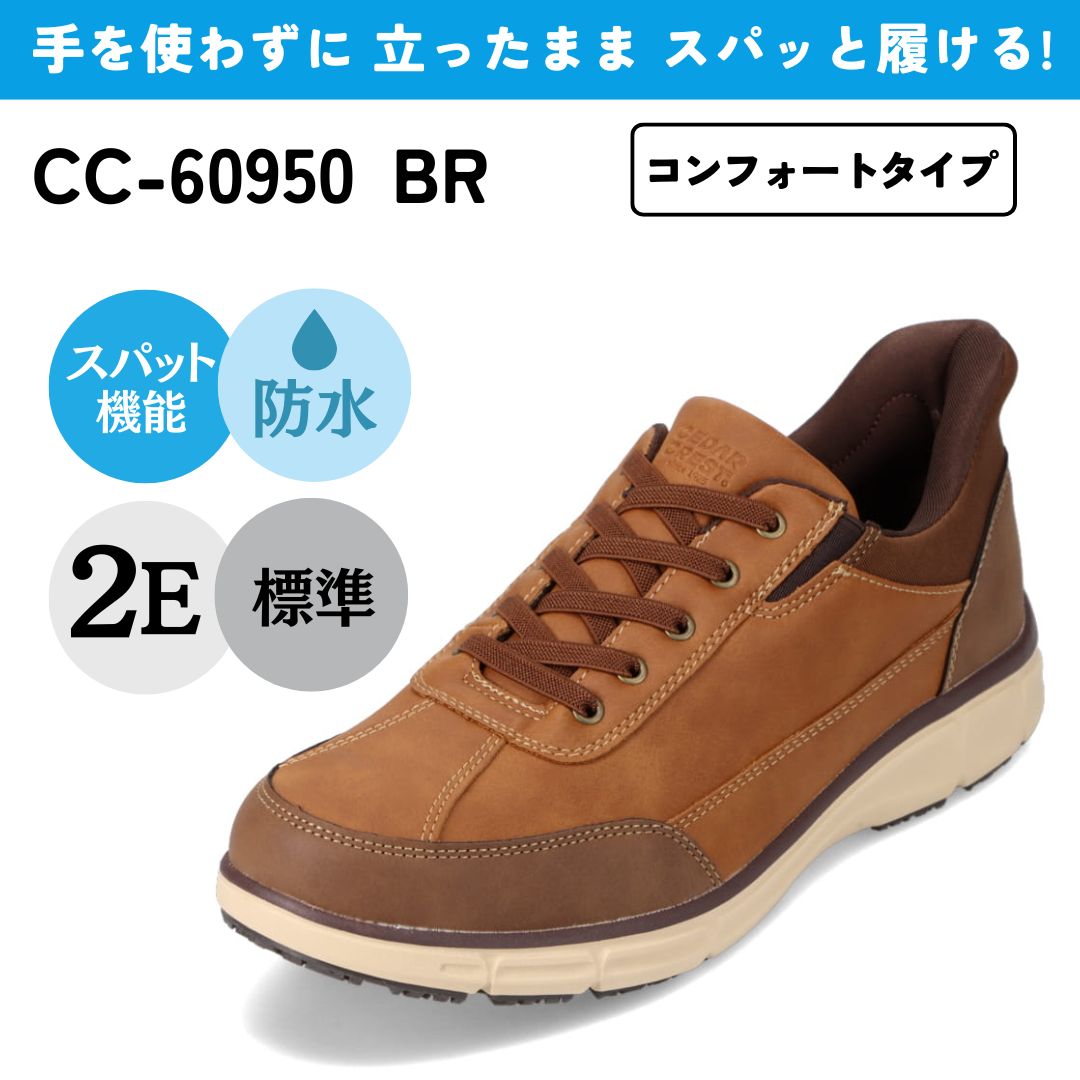 セール10%OFF】スパットシューズ(507182639) | セダークレスト