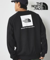 THE NORTH FACE/ザ・ノース・フェイス THE NORTH FACE RAGLAN REDBOX SWEATSHIRT クルーネック スウェット トレーナー 長袖 バックプリント/507199372