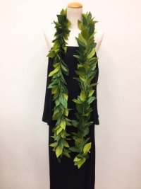 Maunaloa/マウナロア Maunaloa デラックスマイレレイ/507203637