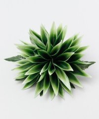 Maunaloa/マウナロア Maunaloa ヘリコニアヌイクリップ/507203641