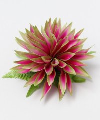 Maunaloa/マウナロア Maunaloa ヘリコニアヌイクリップ/507203641