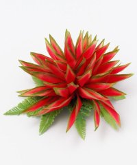 Maunaloa/マウナロア Maunaloa ヘリコニアヌイクリップ/507203641