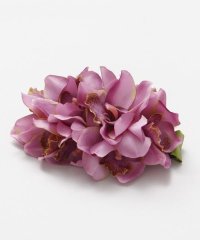 Maunaloa/マウナロア Maunaloa ノーブルシンビジウムクリップ/507203681