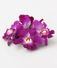 Maunaloa/マウナロア Maunaloa ナニカトレアクリップ/507203784