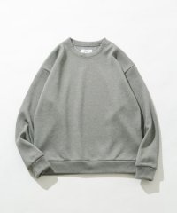 URBAN RESEARCH Sonny Label/ボンディングスウェットプルオーバー/507416033