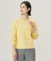 J.PRESS LADIES（LARGE SIZE）/【WEB限定カラーあり・洗える】EIGER CORD ALAN クルーネックプルオーバー ニット/506897867