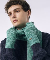 LACOSTESPORTS MENS/ラコステ LACOSTE メランジェニットグローブ/506921543