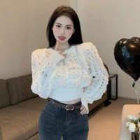 Belle Cie/ベルシー Belle Cie ニット プルオーバー セーター 長袖 レディース 透かし編み ショート丈 短丈 ギャル Y2K へそ出し 肌見せ カジュアル ダン/507146142