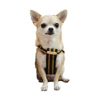 BIRDIE/バーディ BIRDIE ラッセルクッションハーネス S 小型犬用胴輪【返品不可商品】/507507259