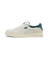 PUMA/ユニセックス インドア メッシュ スニーカー/507510909