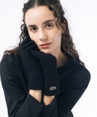 LACOSTESPORTS MENS/ラコステ LACOSTE コンビ・ニッティンググローブ/506921541