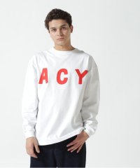 BEAVER/Acy/エーシー  SF L/S TEE/507515063