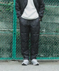 ITEMS URBAN RESEARCH/TAION　Work Down Painter Pants/507521269