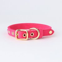 BIRDIE/バーディ BIRDIE リンバーカラー 34 小・中型犬ウルトラスエード首輪【返品不可商品】/507179341