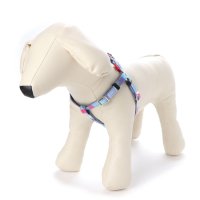BIRDIE/バーディ BIRDIE マルチボーダーハーネス SS 小型犬用ワンタッチバックル足入れ胴輪【返品不可商品】/507179407
