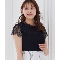 12Twelve Agenda/トゥエルブアジェンダ 12Twelve Agenda プチハイネックレース切替リブニットプルオーバー/507256250