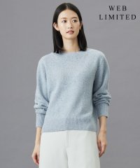 J.PRESS LADIES（LARGE SIZE）/【WEB限定・洗える】WOOLY NEP クルーネックニット/507546546