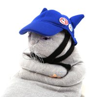 COOCO/クーコ COOCO エヴァンゲリオン ペット ペット用 アスカ キャップ【返品不可商品】/507184367