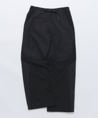 SHIPS MEN/PURPLE MOUNTAIN OBSERVATORY: BLOCKED TERRAIN PANT/507582926