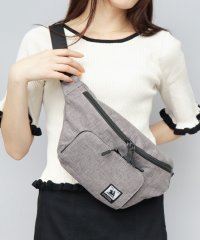 AMS SELECT/エーエムエスセレクト A.M.S.select CHOOP シュープ ミニ ボディバッグ ショルダーバッグ ウエストバッグ ウエストポーチ お財布バッグ レディ/506445584