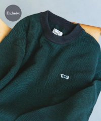 URBAN RESEARCH DOORS/『別注』PENNEYS×DOORS　THE FOX ピンボーダークルーネックニット/507606029