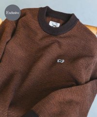 URBAN RESEARCH DOORS/『別注』PENNEYS×DOORS　THE FOX ピンボーダークルーネックニット/507606029