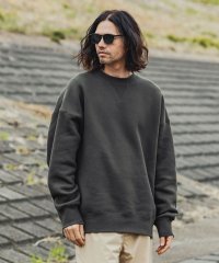 +phenix/プラスフェニックス +phenix FUNCTIONAL HEAVY WEIGHT CREW NECK SWEAT ヘビーウェイト クルーネック スウェット/507610167