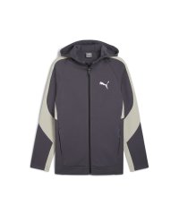 PUMA/メンズ エヴォストライプ フルジップ フーディー/506880000