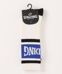 SPALDING/スポルディング SPALDING SPALDING C. 底P TH切替ライン/507359067