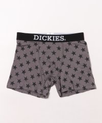 Dickies/ディッキーズ Dickies Dickies Star【返品不可商品】/507621098