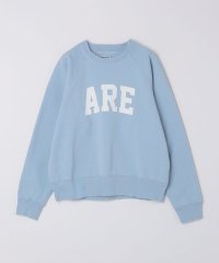 SHIPS MEN/Reception: RAGLAN SWEAT RARE/507705027