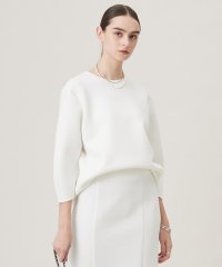 ICB（LARGE SIZE）/【洗える・WEB限定カラーあり】コンパクトダブルフェイス トップス/507713017