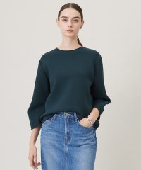 ICB（LARGE SIZE）/【洗える・WEB限定カラーあり】コンパクトダブルフェイス トップス/507713017