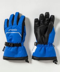 phenix/フェニックス phenix Ski Slope Junior Gloves スキースロープジュニアグローブ/キッズ/子供用 スノーグローブ/スキーウェア/手袋//507713368