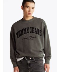 TOMMY HILFIGER/トミー ヒルフィガー TOMMY HILFIGER リラックスヴィンテージクルーネックトレーナー/507726552