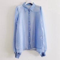 HCAE/エイチシーエーイー HCAE SHEER BLOUSE/507726836