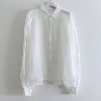 HCAE/エイチシーエーイー HCAE SHEER BLOUSE/507726836