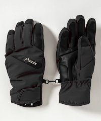 phenix/フェニックス phenix Snow Design Panel Mens Gloves スノーデザインパネルメンズグローブ/スノーグローブ/スキーウェア/手袋//507729096