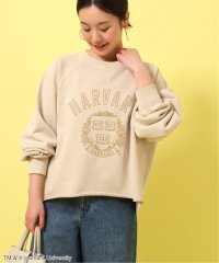JOURNAL STANDARD relume/別注【GOOD ROCK SPEED】COLLEGE SWEAT：スウェット/507730129
