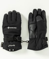 phenix/フェニックス phenix GORE Womens Gloves フェニックスゴアWsグローブ レディース/スキー/スノーグローブ/グローブ/手袋/5本指/ゴア/507734560